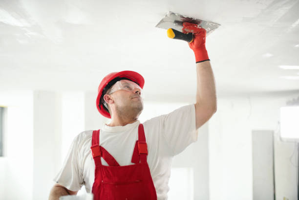 Best Eco-Friendly and Low-VOC Painting  in Citrus Springs, FL